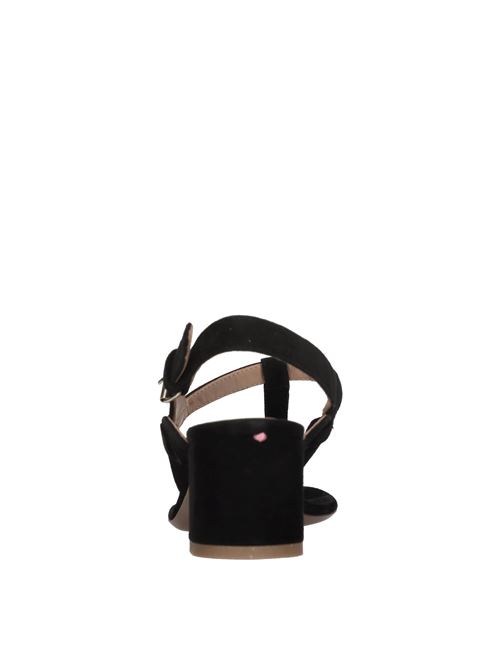  RELAC | LAC004 SUEDENERO